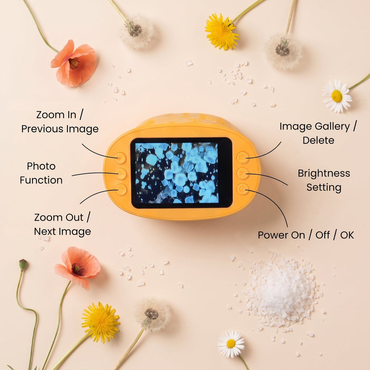 Tinkerroot™ 4K Discovery Microscope