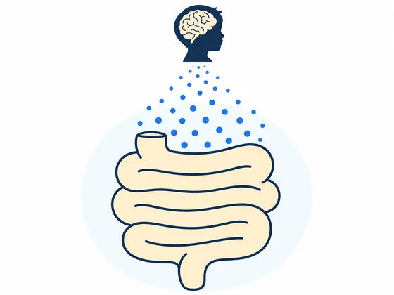 Most serotonin is made in the gut