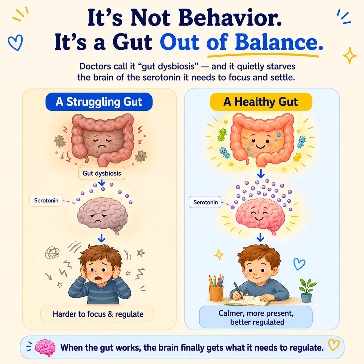 Tinkerroot ™ Gut-Brain Balance